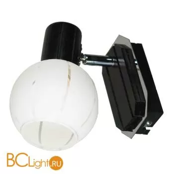 Спот (точечный светильник) Lussole Mara LSL-8901-01