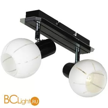 Спот (точечный светильник) Lussole Mara LSL-8901-02