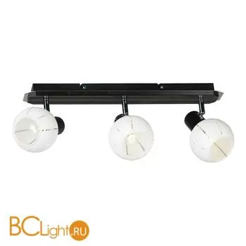 Спот (точечный светильник) Lussole Mara LSL-8901-03