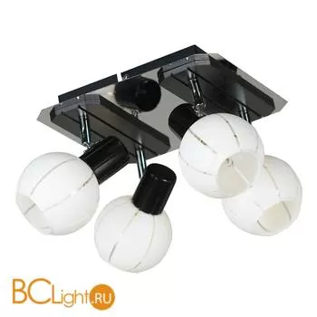 Спот (точечный светильник) Lussole Mara LSL-8901-04