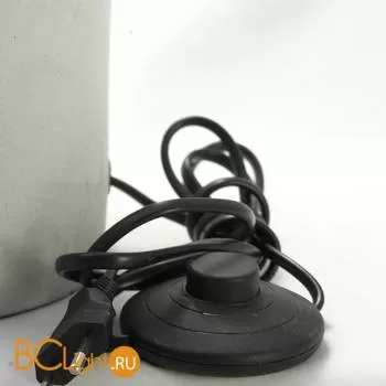 Торшер Lussole Martinez LSP-0517 - Фото 3