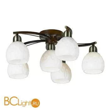 Потолочная люстра Lussole Mores LSL-8807-06