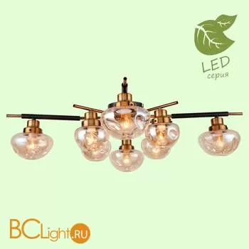 Потолочная люстра Lussole Oahe GRLSP-8142