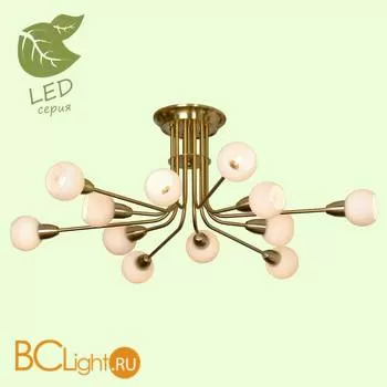 Потолочная люстра Lussole Pinal GRLSP-8124