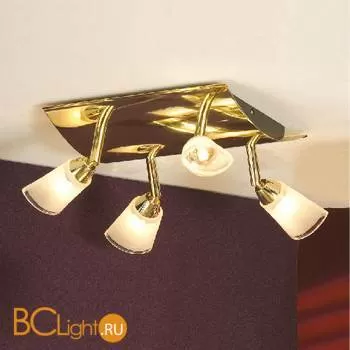 Спот (точечный светильник) Lussole Rasen LSL-5001-04