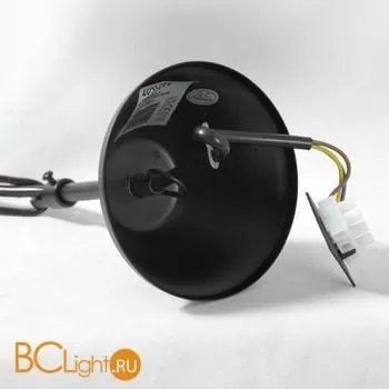 Люстра Lussole Rinami LSP-9954 - Фото 5