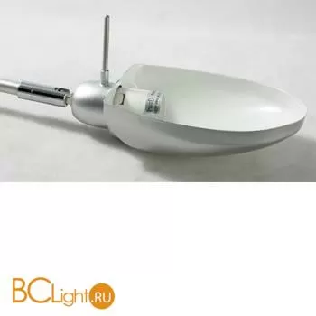 Настольная лампа Lussole Roma LST-4364-01 - Фото 4