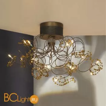 Потолочный светильник Lussole Ronchi LSF-0413-15