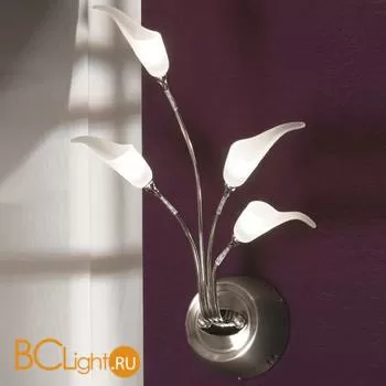 Бра Lussole Roncobello LSA-0401-04