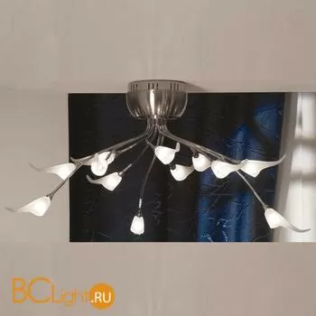 Потолочная люстра Lussole Roncobello LSA-0403-12