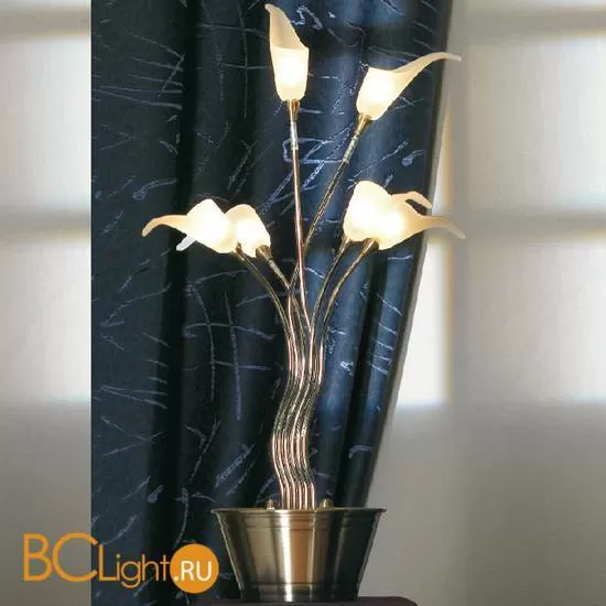 Настольная лампа Lussole Roncobello LSA-0404-06