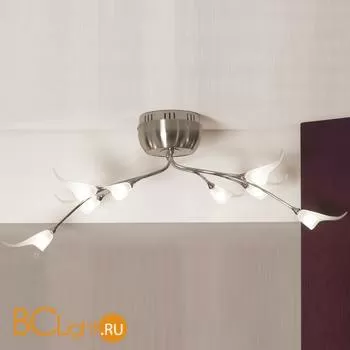 Потолочная люстра Lussole Roncobello LSA-0413-08