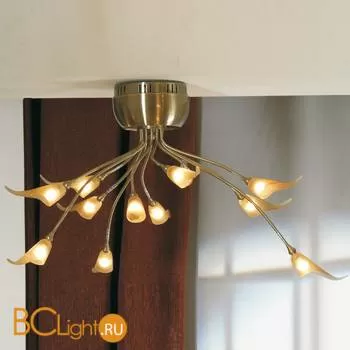 Потолочная люстра Lussole Roncobello LSA-0463-12