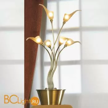 Настольная лампа Lussole Roncobello LSA-0464-06