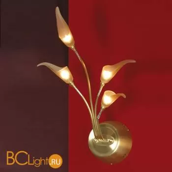 Бра Lussole Roncobello LSA-0491-04