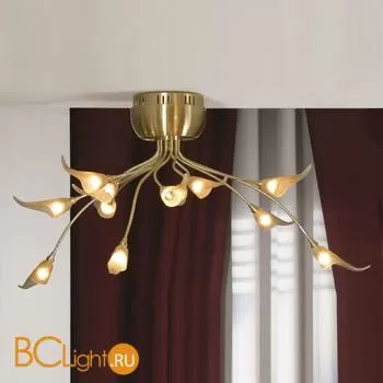 Потолочная люстра Lussole Roncobello LSA-0493-12