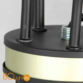 Люстра Lussole Roosevelt LSP-8198 - Фото 5