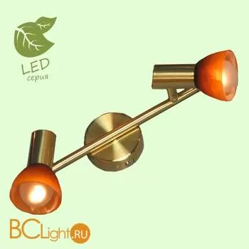 Потолочный светильник Lussole Sale GRLSQ-4191-02