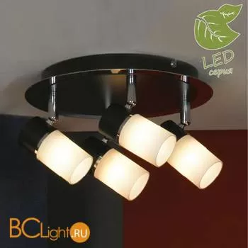 Потолочный светильник Lussole Sale GRLSQ-6101-04