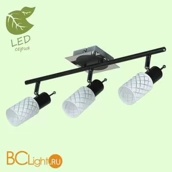 Потолочный светильник Lussole Sale GRLSX-5601-03