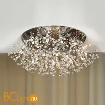 Потолочный светильник Lussole Saluzzo LSQ-7807-24