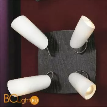 Спот (точечный светильник) Lussole Sava LSN-4901-04