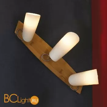 Спот (точечный светильник) Lussole Sava LSN-4911-03