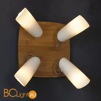 Спот (точечный светильник) Lussole Sava LSN-4911-04