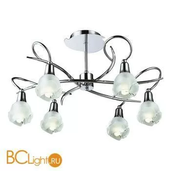 Потолочная люстра Lussole Segrate LSC-9407-06