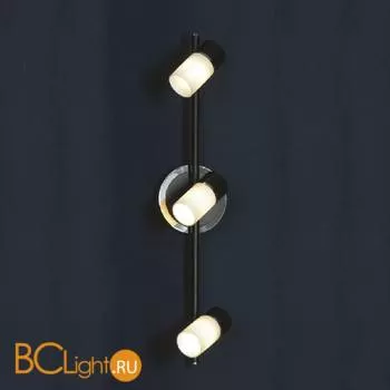 Спот (точечный светильник) Lussole Siliqua LSQ-6101-03