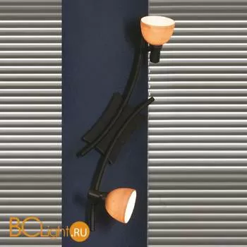 Спот (точечный светильник) Lussole Spilimbergo LSA-3001-02