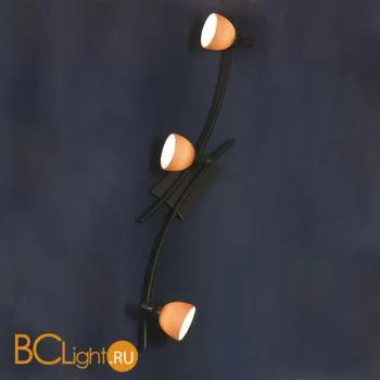 Спот (точечный светильник) Lussole Spilimbergo LSA-3001-03