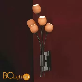 Бра Lussole Spilimbergo LSA-3001-05