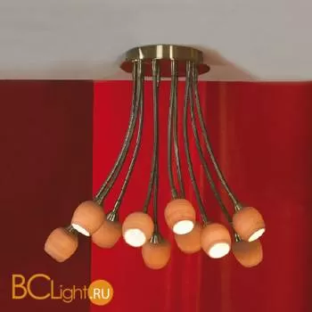 Потолочная люстра Lussole Spilimbergo LSA-3003-10