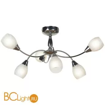 Потолочная люстра Lussole Suno LSF-1803-06