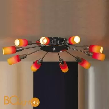 Потолочная люстра Lussole Tolmezzo LSQ-8797-10