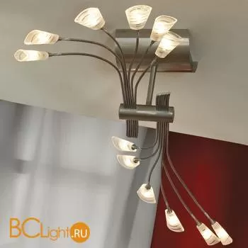 Потолочная люстра Lussole Udine LSA-1003-12