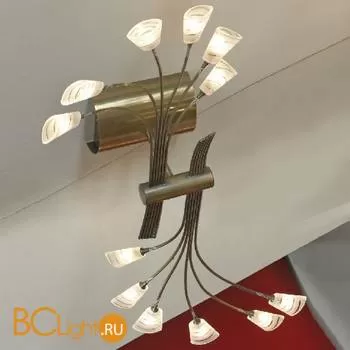 Потолочная люстра Lussole Udine LSA-1063-12