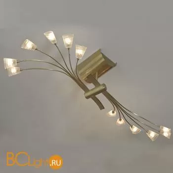 Потолочная люстра Lussole Udine LSA-1093-12