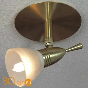 Спот (точечный светильник) Lussole Venezia LSL-0390-01