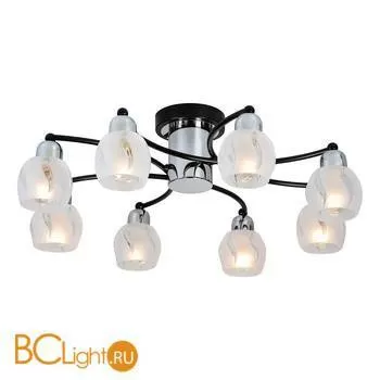 Потолочная люстра Lussole Vieste LSL-8503-08