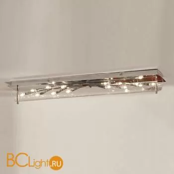 Настенно-потолочный светильник Lussole Vitravo LSQ-4007-14