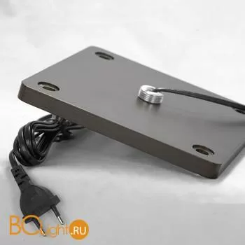 Торшер Lussole Wrangell LSP-0523 - Фото 2