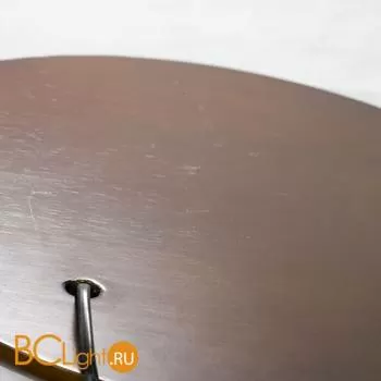 Торшер Lussole Wrangell GRLSP-0529 - Фото 3