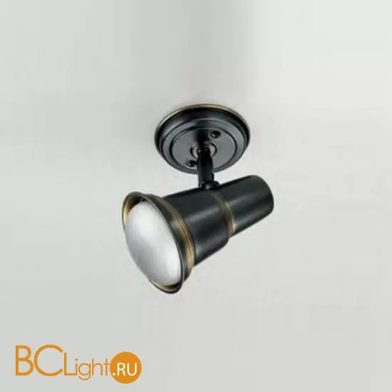 Cпот (точечный светильник) Lustrarte Spot s 800-0077