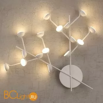 Бра Mantra Adn 6263