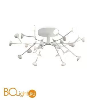 Потолочная люстра Mantra Adn 6415