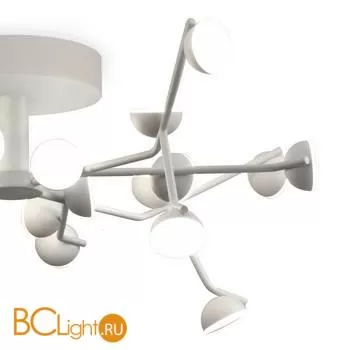 Потолочная люстра Mantra Adn 6416 - Фото 2