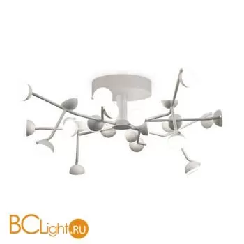 Потолочная люстра Mantra Adn 6416