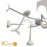 Потолочная люстра Mantra Adn 6416 - Фото 1